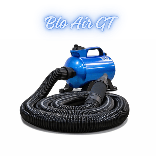 Souffleur Sécheur BLO AIR GT Double Moteurs - Blo Car Dryer